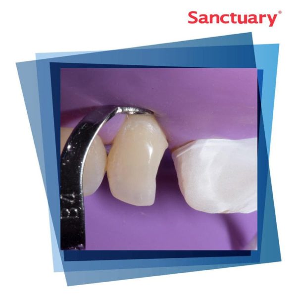 Sanctuary™ Powder-Free Non-Latex Dental Dam Hot on Sale