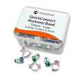 QuickConnect Anatomy Band Mixed Refill Online