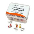 QuickConnect Anatomy Band Mixed Refill Online