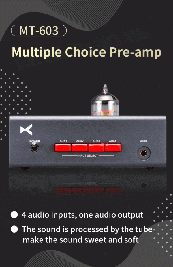 xDuoo MT-603 Multichoice Pre-amp Online now