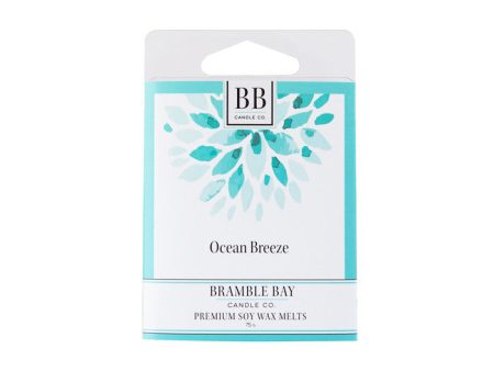 Ocean Breeze Wax Melt For Discount